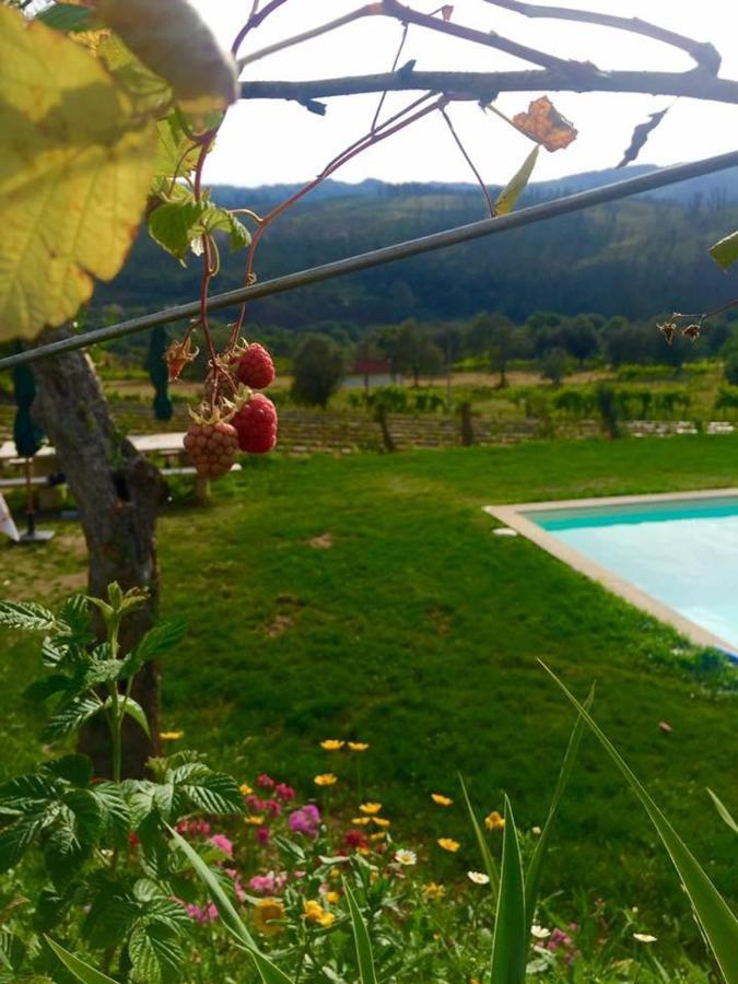 Willa Quinta Da Aranha Arcos de Valdevez Zewnętrze zdjęcie